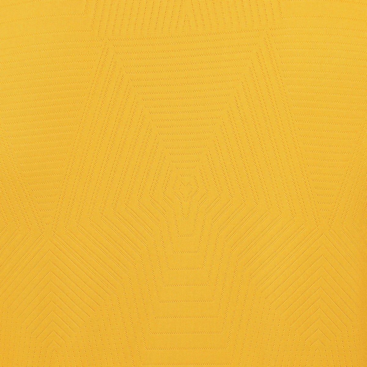 2024-25 Wolverhampton Wanderers FC 1a Equipación