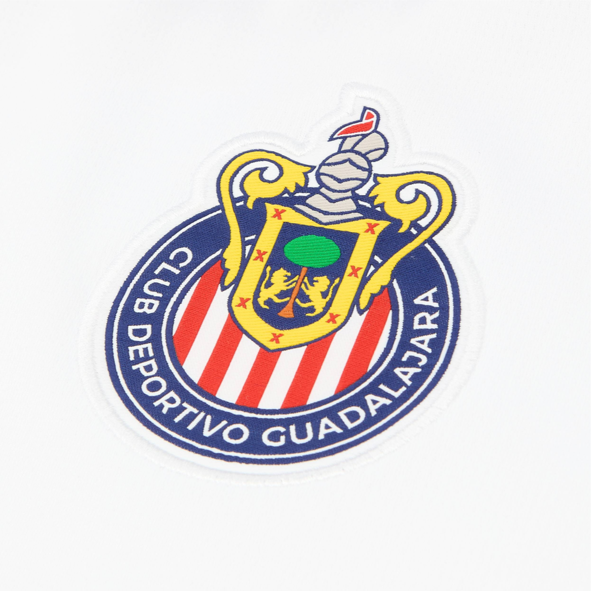 2024-25 CD Guadalajara 2a Equipación