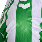 2024-25 Real Betis Balompié́ 1a Equipación