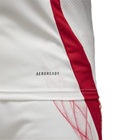 2024 Japón 2a Equipación